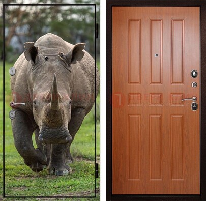 Металлическая дверь с фотопечатью носорога ДФ-31 в Красногорске