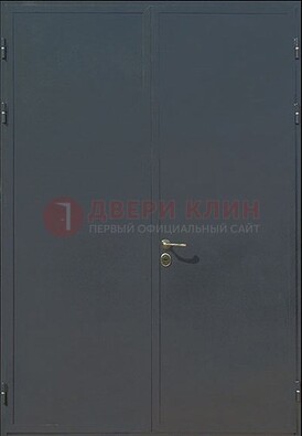 Двухстворчатая техническая дверь ДТ-5 в Красногорске